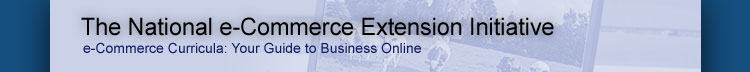 The National e-Commerce Extension Initiative