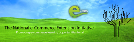 eNews: The National e-Commerce Extension Initiative