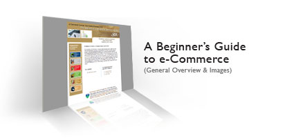 A Beginner's Guide to e-Commerce