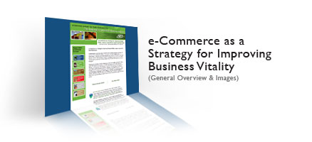 e-Commerce as a Strategy for Improving Business Vitality