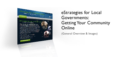 eStrategies for Local Governments