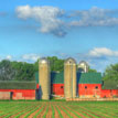 Focusing In on Farm Business Management