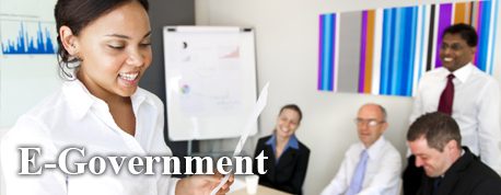 e-government